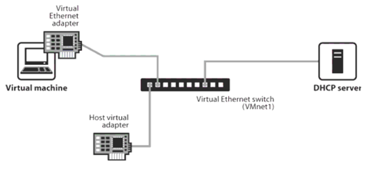 Host-only mode 